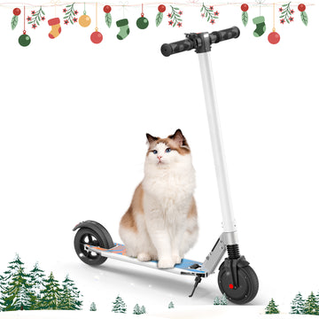 COBIZI Electric Scooter for Adult & Teen,Top 15.5 Mph, 15 Long Miles Range, 250W Foldable Kick Scooters with LED Display and Braking System